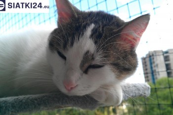 Siatki Lędziny - Siatka na balkony dla kota i zabezpieczenie dzieci dla terenów Lędzin